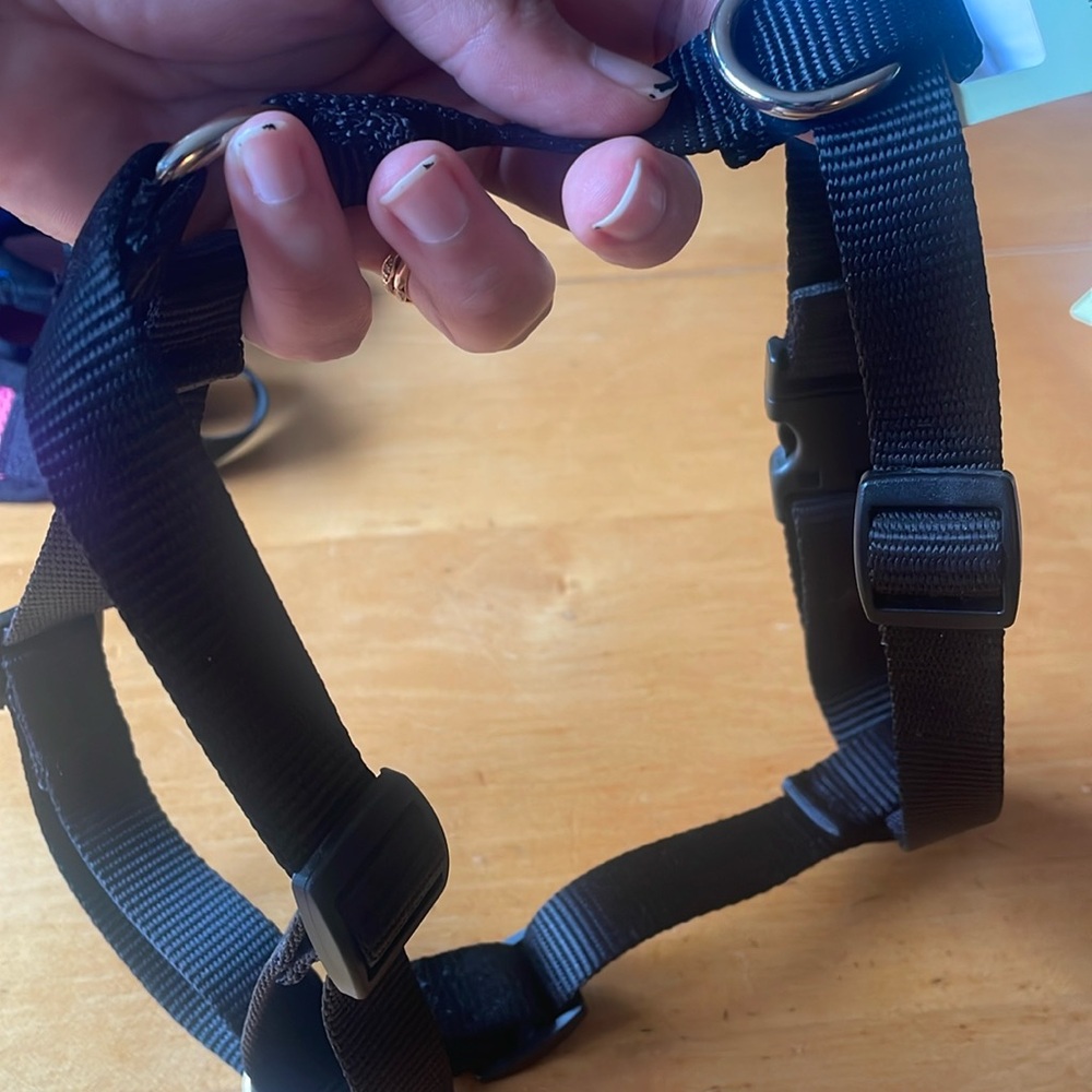 Lupine Roman Harness 3/4in 14-24”